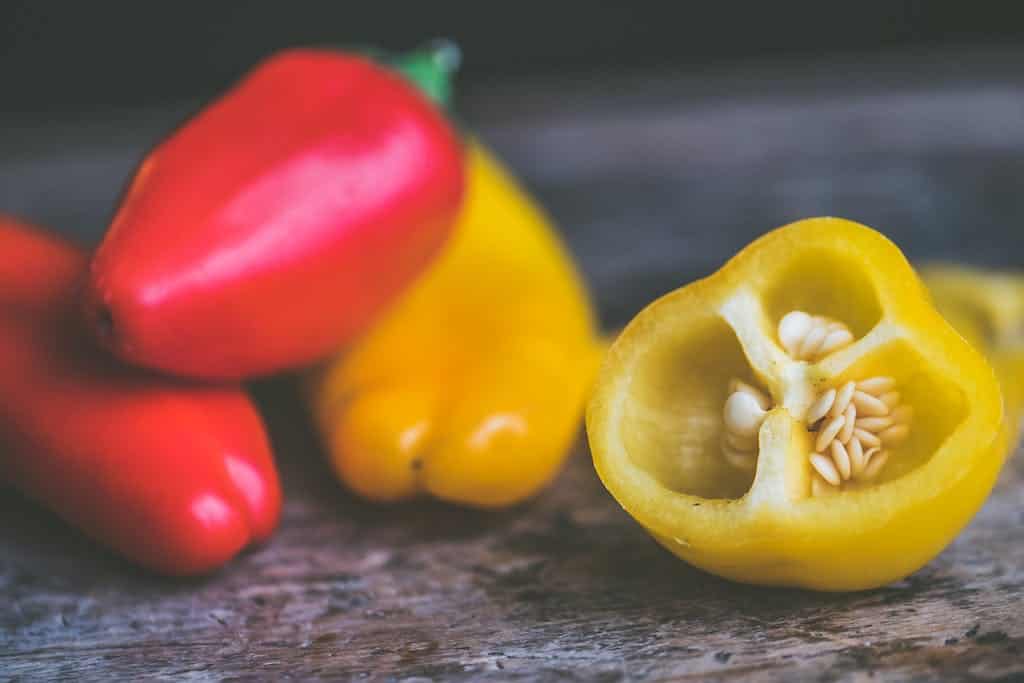 Can Dogs Eat Bell Pepper Seeds?