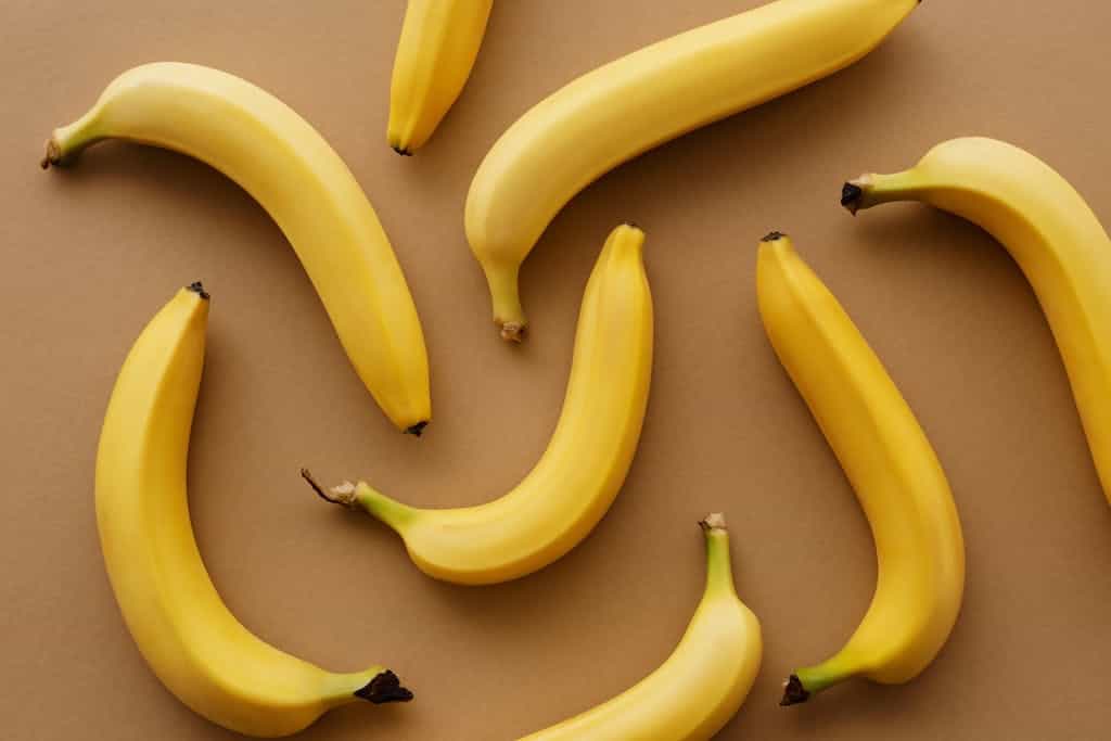 Can Dogs Eat Ripe Bananas?