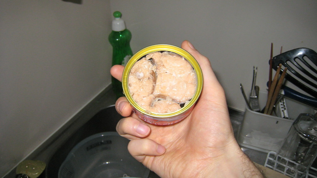 Can Dogs Eat Salmon In A Can?