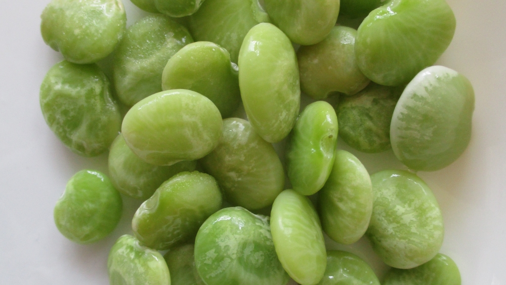 Can dogs eat lima beans