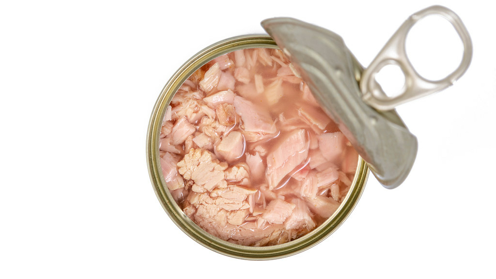 Can dogs eat tuna fish in a can?
